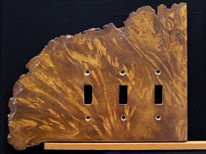 Natural Works of Art Switch plate